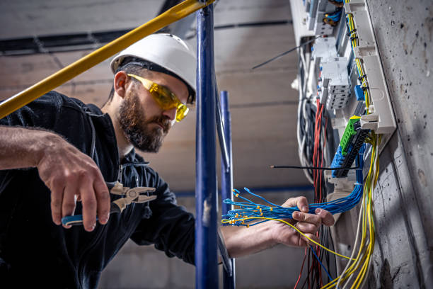 Best Electric Panel Repair  in Hales Corners, WI