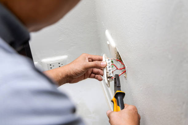Best Ceiling Fan Installation Electrician  in Hales Corners, WI