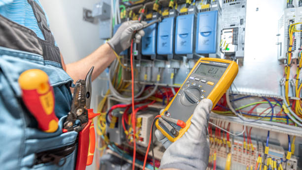 Best Electric Panel Repair  in Hales Corners, WI